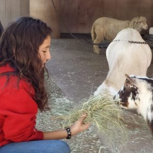 Meet your Posher, Mia